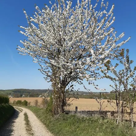Casa Della Nonna 2 Simpelveld