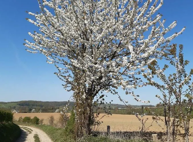 Casa Della Nonna 2 Simpelveld